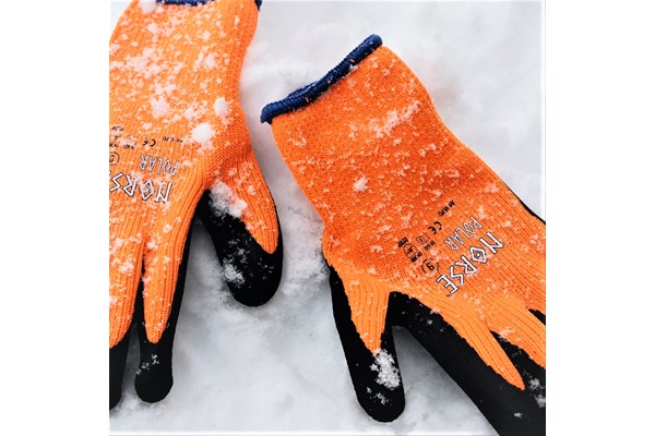 Norse Polar Glove